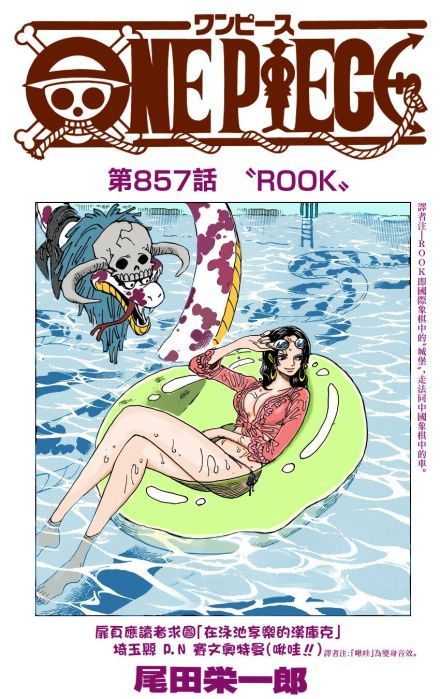 海贼漫画 857话彩色扉页，这个是是妮可罗宾吗[挖鼻屎]