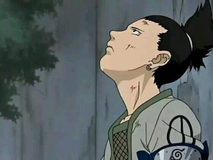 “我本来想随便当个忍者，随便赚点钱…然后和不美不丑的女人结婚生两个小孩，第一个是女孩，第二个嘛…男孩…等女儿结婚，儿子能够独当一面的时候，就从忍者的工作退休…之后，每天过着下将棋或围棋的悠闲生活…然后比自己的老婆还要早老死…我就是想过这种生活…”------鹿丸的美妙#话语#