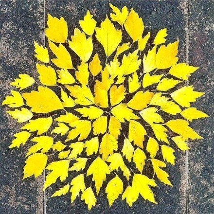 岛国#大神#的杰作，任何生活都可以成为艺术Orz[哈哈][嘻嘻]