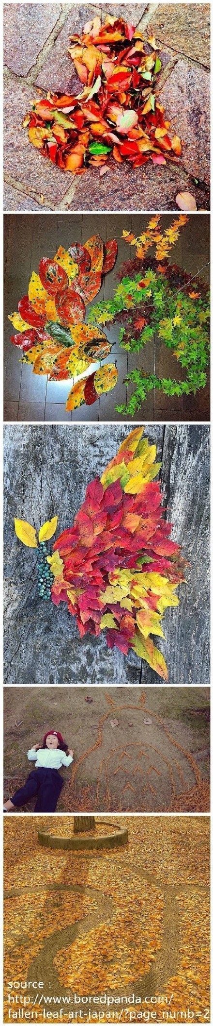 岛国#大神#的杰作，任何生活都可以成为艺术Orz[哈哈][嘻嘻]