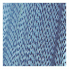 男神佐助[害羞]