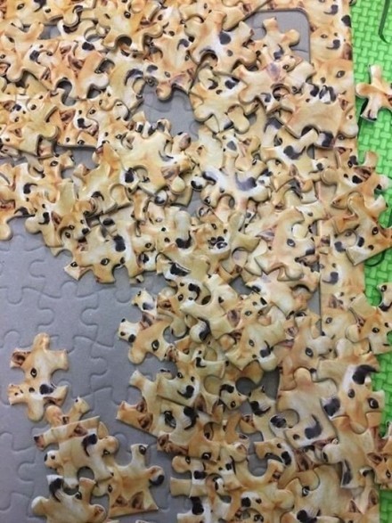 脑洞商家，这是要整死人呀[吃惊][挖鼻屎][挖鼻屎]