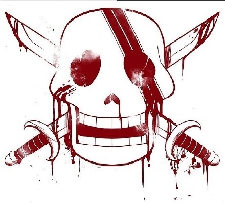 国外网站的海贼旗图片