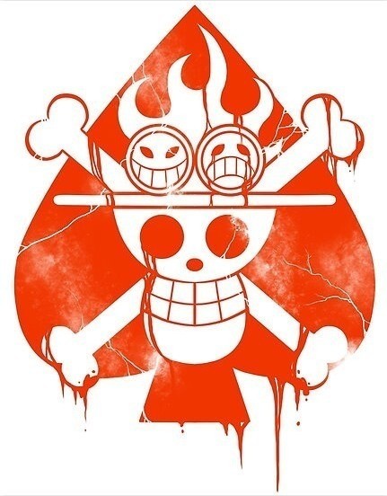 国外网站的海贼旗图片