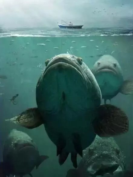 暗黑插画，细思极恐(⊙x⊙;)[吃惊]