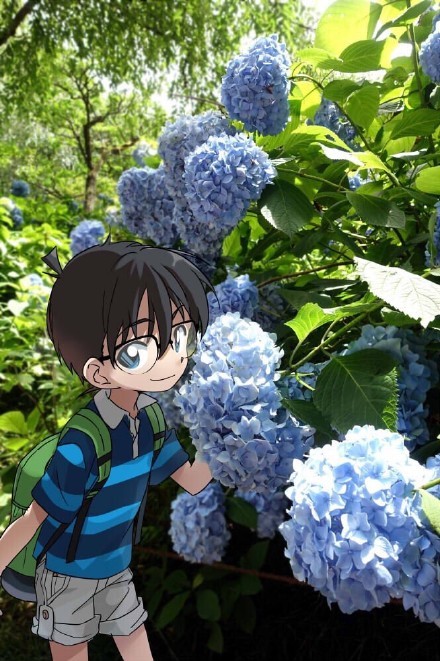 好帅的场景，好帅的柯南，#二次元三次元#傻傻分不清楚[害羞]