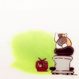 样沟森森的日常，好想领养一只[哈哈]