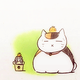 样沟森森的日常，好想领养一只[哈哈]