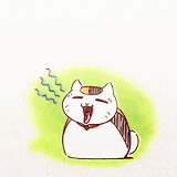 样沟森森的日常，好想领养一只[哈哈]