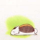 样沟森森的日常，好想领养一只[哈哈]