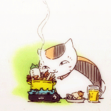 样沟森森的日常，好想领养一只[哈哈]