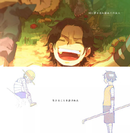 艾斯和路飞的开始和结束。
故事的开始是那么的美好
结尾却令人唏嘘
“从今天起，我们就是兄弟了”[悲伤]