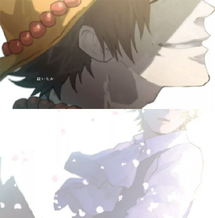 艾斯和路飞的开始和结束。
故事的开始是那么的美好
结尾却令人唏嘘
“从今天起，我们就是兄弟了”[悲伤]