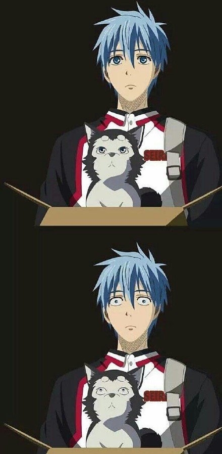 年度动漫神吐槽    看了这么久的动漫，终于有人吐槽美瞳太大这件事了[笑cry]，想象一下如果大家摘掉了美瞳后……兵长：？？？[哈哈]
我心爱的娜美
兵长毫无压力呀