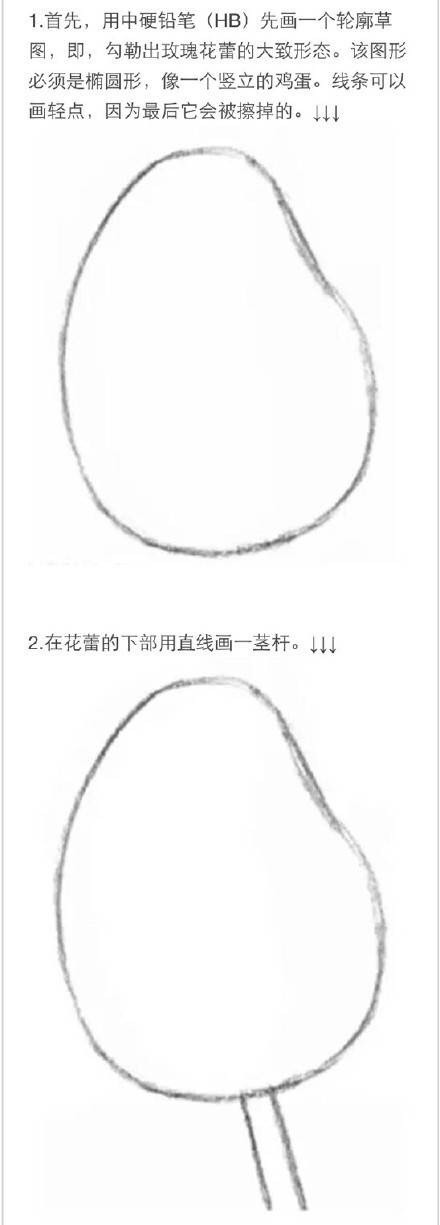 #教程#用铅笔画一朵玫瑰花[嘻嘻]需要的赶快收藏吧