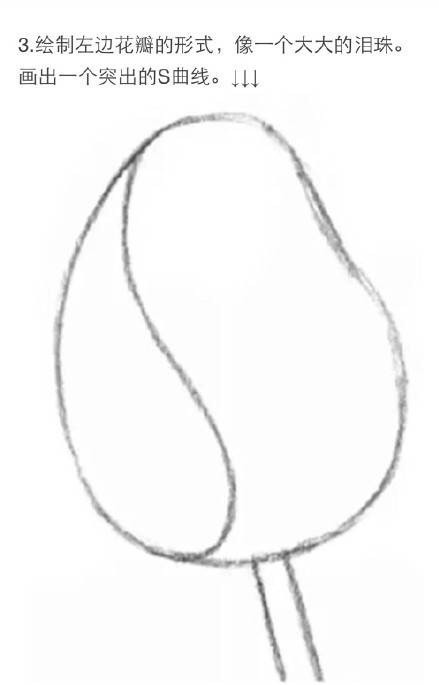 #教程#用铅笔画一朵玫瑰花[嘻嘻]需要的赶快收藏吧