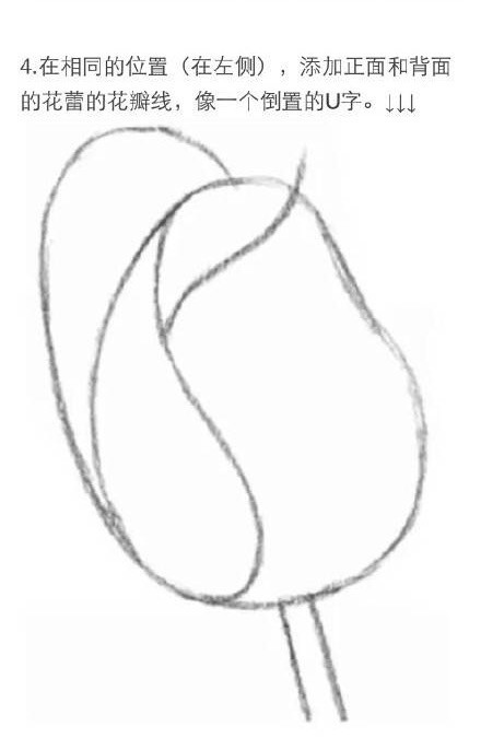 #教程#用铅笔画一朵玫瑰花[嘻嘻]需要的赶快收藏吧