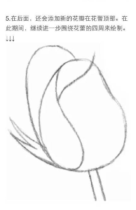 #教程#用铅笔画一朵玫瑰花[嘻嘻]需要的赶快收藏吧