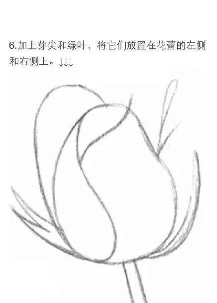 #教程#用铅笔画一朵玫瑰花[嘻嘻]需要的赶快收藏吧