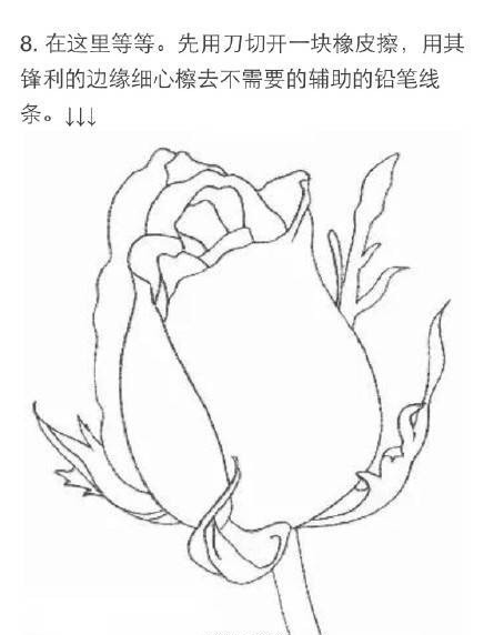 #教程#用铅笔画一朵玫瑰花[嘻嘻]需要的赶快收藏吧