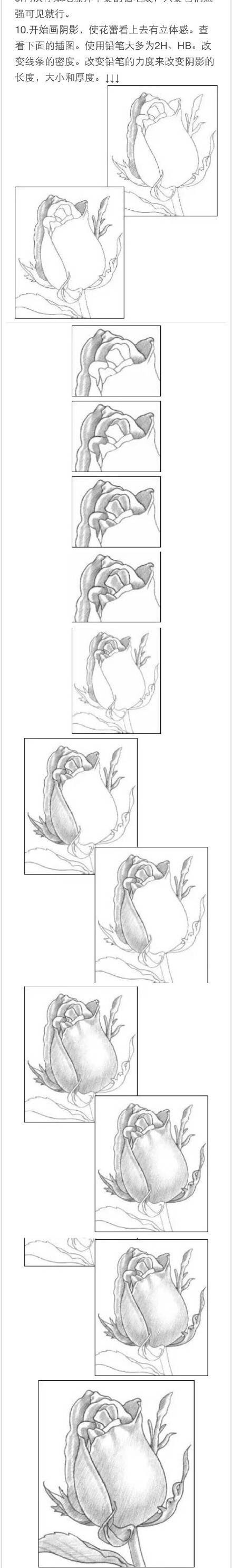 #教程#用铅笔画一朵玫瑰花[嘻嘻]需要的赶快收藏吧