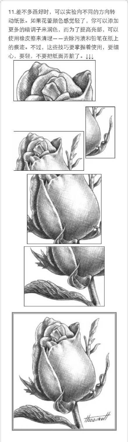 #教程#用铅笔画一朵玫瑰花[嘻嘻]需要的赶快收藏吧