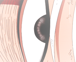 与历代火影成就的伟业相比，我所做的事情是那么一无是处、无聊透顶。我原来是想要自己像历代火影那样死去的，将故事的成败赌在结尾上，失败也是一种趣事，主角坚信那些艰难困苦是上天给予的考验而努力活了下来，终于...他成就了可以抹杀之前所有失败的光辉伟业，作为一个伟大的忍者死去。
――最后 豪杰自来也的#话语#
[悲伤][活着回来]