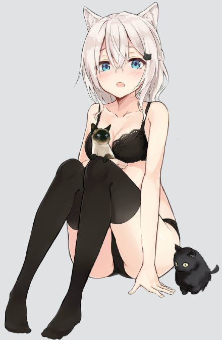 老师这么又抱琵琶半遮掩，太他妈诱人了[花心]
都快没钱买营养快线了[吃惊]