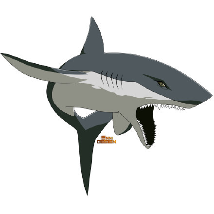 火影通灵神兽大集合[嘻嘻]，哪一个是你的本命？[思考]
孙悟空 万蛇 蛤蟆文太  蛞蝓 大白鲨 鹰