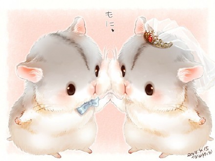 萌萌哒真的是日本的国民性内核呀[可怜]