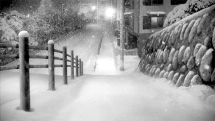 #二次元美景#寒风料峭，雪花飞舞，那时有你，记忆是那么的美好[嘻嘻][悲伤]