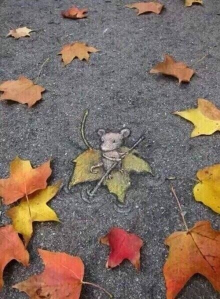 街头的即兴创意，萌萌哒无极限[嘻嘻]