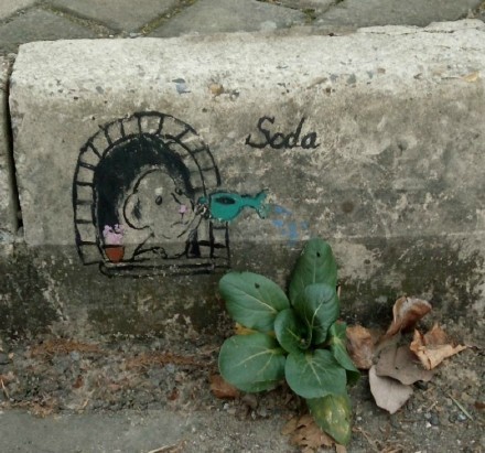 街头的即兴创意，萌萌哒无极限[嘻嘻]