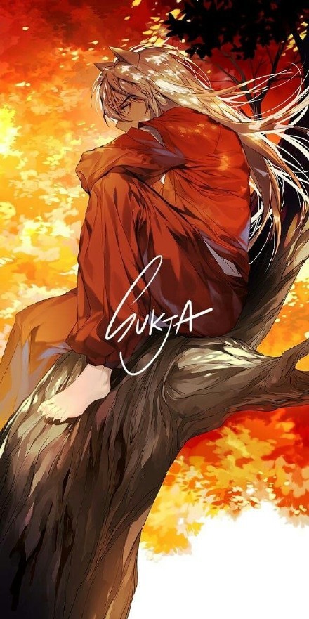 犬夜叉同人美图[嘻嘻] 