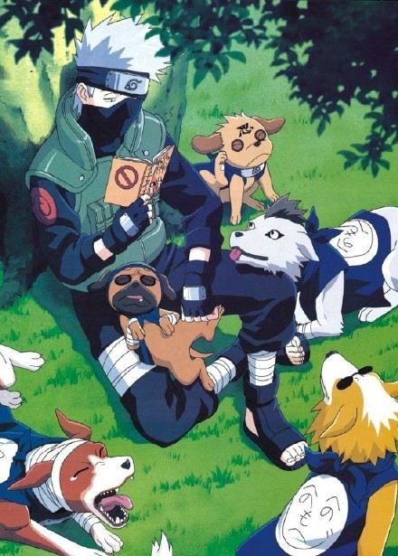 男神卡卡西和他的狗狗们[嘻嘻]