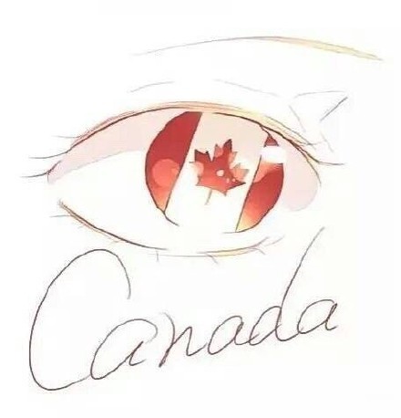 #教程#眼睛国旗，一种风格仿佛融入了一个国家[嘻嘻]