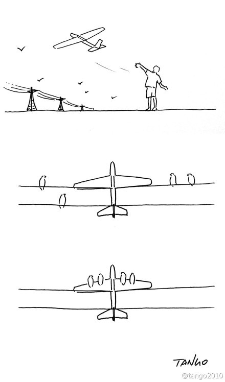 #Tango# 在鸟看来飞机应该是这样的