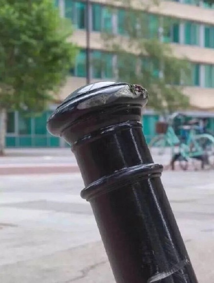 生活总是充满了乐趣，只要你有一个乐观的心态[笑cry][笑cry]