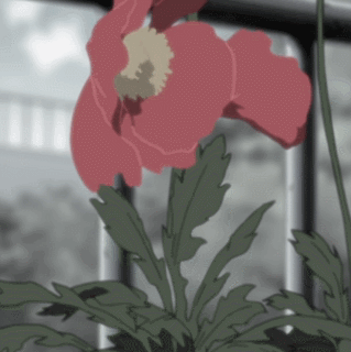 猿飞阿斯玛之死[悲伤][活着回来]