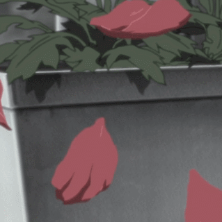 猿飞阿斯玛之死[悲伤][活着回来]