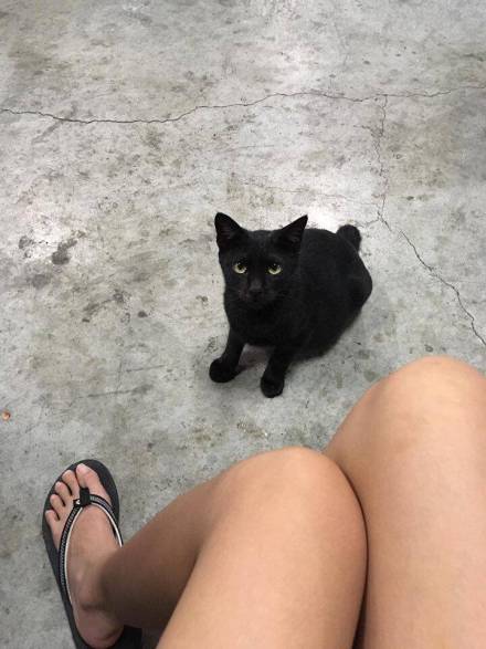 【黑猫撩妹记】确定不是影分身吗[吃惊][挖鼻屎][笑cry]
美腿亮了[花心]