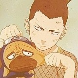 怕麻烦的天才鹿丸[钱]