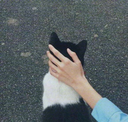 据说男生有一双纤长的手能加分，真的是这样吗[思考]