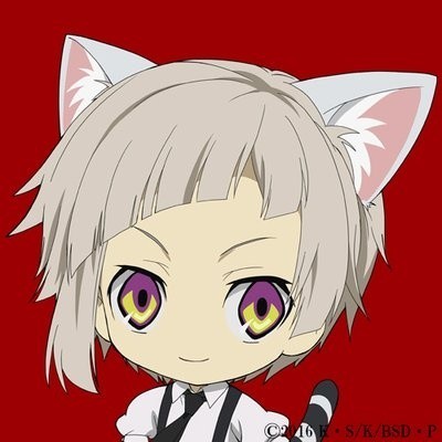 【文豪野犬】猫咪日官方插图，好萌啊[可怜]
修了一个头像[嘻嘻]