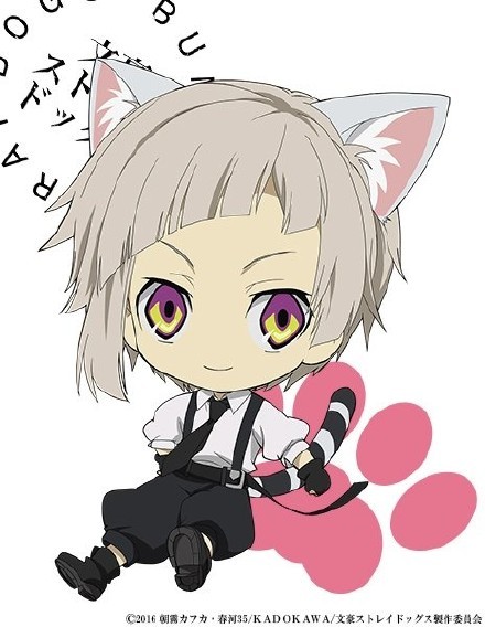 【文豪野犬】2月22日猫猫日 插图合集【官方】[花心]