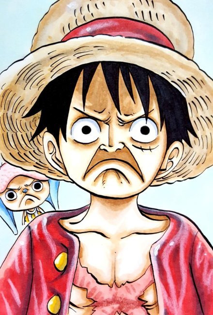 路飞这个崩坏的表情是肿么回事？[吃惊]