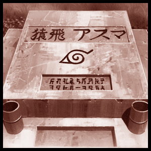 忍者的世界充满战斗，忍者不追求生，而是追求如何的去死[悲伤]