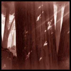 忍者的世界充满战斗，忍者不追求生，而是追求如何的去死[悲伤]