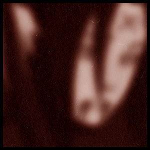 忍者的世界充满战斗，忍者不追求生，而是追求如何的去死[悲伤]