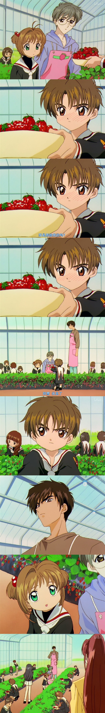 魔卡少女樱#经典场景，回不去的销售[悲伤]